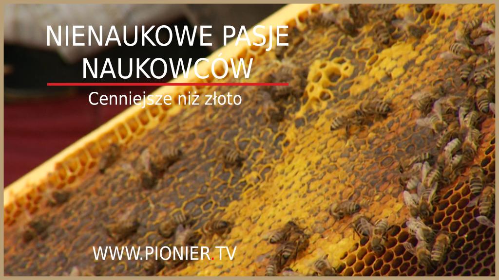 Krzysztofa Antoszewskiego z WMiBM w PIONIER.TV