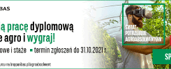 Konkurs BNP Paribas Food & Agro dla absolwentów. Mężczyzna w goglach VR w szklarni.